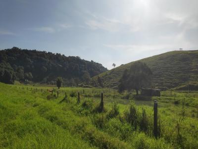 Fazenda para Venda, em Cachoeiras de Macacu, bairro MARAPORA