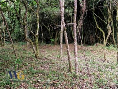 Chcara para Venda, em Balsa Nova, bairro So Luiz do Purun