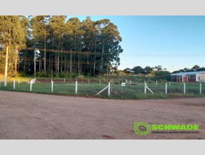 Terreno para Venda, em So Martinho, bairro CENTRO