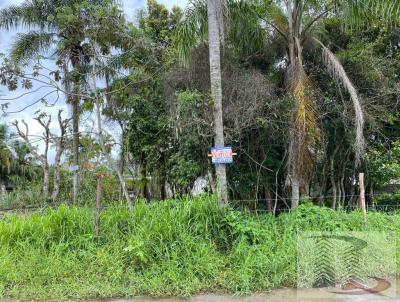 Terreno para Venda, em Iguape, bairro ICAPARA