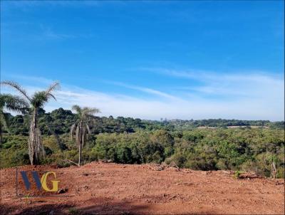 Chcara para Venda, em Balsa Nova, bairro Bugre/Rodeio Santo Antnio