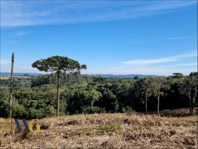 Chcara para Venda, em Balsa Nova, bairro Bugre/Rodeio Santo Antnio