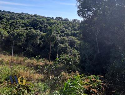 Chcara para Venda, em Balsa Nova, bairro Rodeio Santo Antnio/Campina