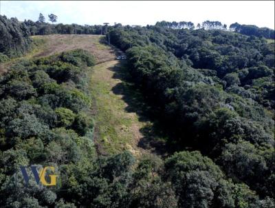 Chcara para Venda, em Balsa Nova, bairro Rodeio Santo Antnio/Campina