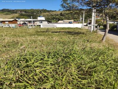 Lote para Venda, em Paulo Lopes, bairro Gamboinha