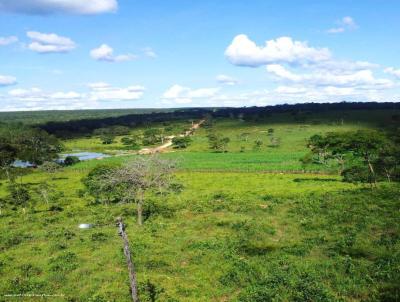 Fazenda para Venda, em Januria, bairro Zona Rural, 5 dormitrios, 3 banheiros, 1 sute