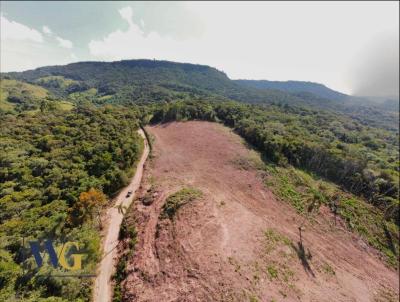 Chcara para Venda, em Campo Largo, bairro Faxina