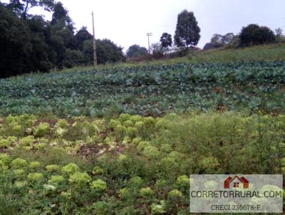 Terreno para Venda, em Piedade, bairro PIRAPORINHA