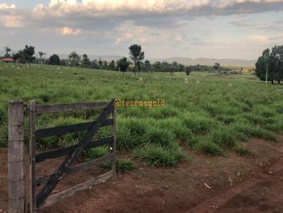 Fazenda para Venda, em Santo Antnio do Leverger, bairro Porto de Fora