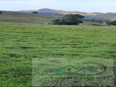 Terreno para Venda, em Imaru, bairro Taquarautuba, 2 dormitrios, 1 banheiro