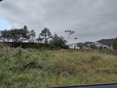 Terreno para Venda, em Paulo Lopes, bairro Centro  Paulo Lopes