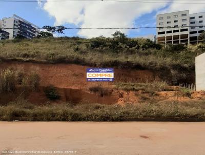 Terreno para Venda, em Tefilo Otoni, bairro Prximo ao centro