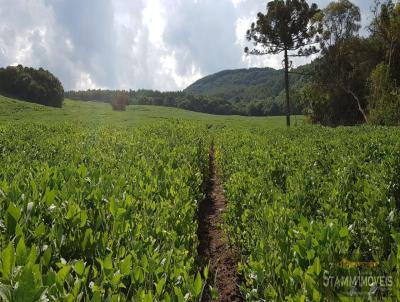 rea Rural para Venda, em Soledade, bairro Interior