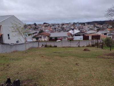 Terreno para Venda, em Campina Grande do Sul, bairro FLÓRIDA