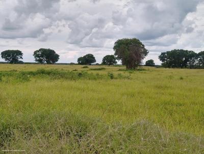 Fazenda para Venda, em So Joo da Ponte, bairro Zona Rural