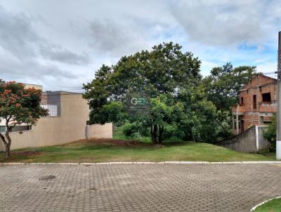 Terreno em Condomnio para Venda, em Cachoeira Paulista, bairro Jardim Nova Cachoeira