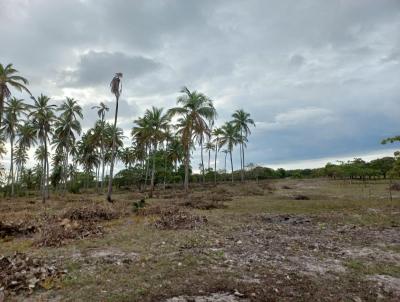 Terreno para Venda, em , bairro mangue seco jericoacoara