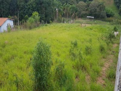 Terreno para Venda, em Ibina, bairro Centro