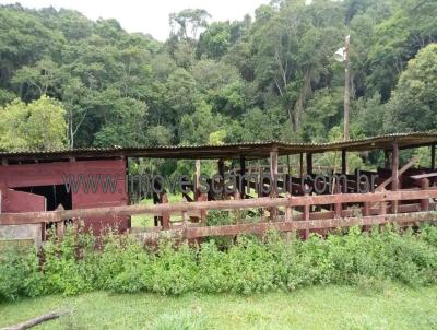 Fazenda para Venda, em So Loureno, bairro 