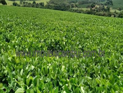 Fazenda para Venda, em Itamogi, bairro 