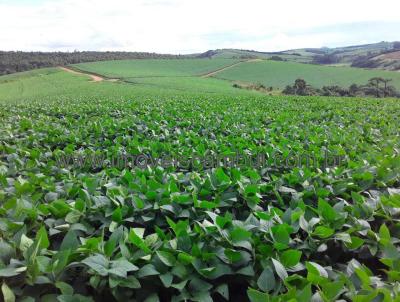 Fazenda para Venda, em Poo Fundo, bairro 