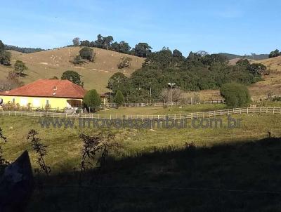 Fazenda para Venda, em Conceio das Pedras, bairro 