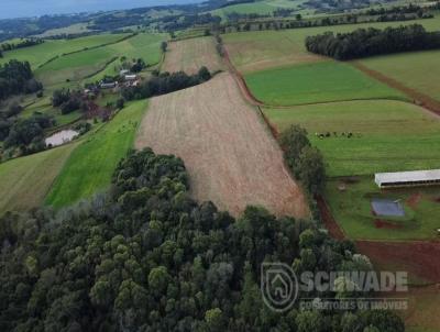 rea Rural para Venda, em Trs Passos, bairro Bela Vista