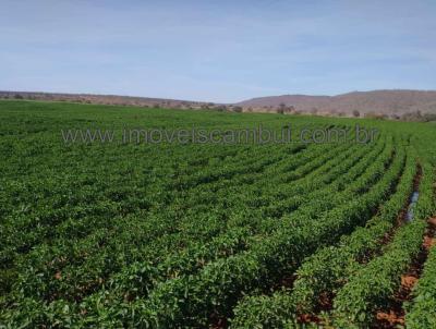 Fazenda para Venda, em Manga, bairro 