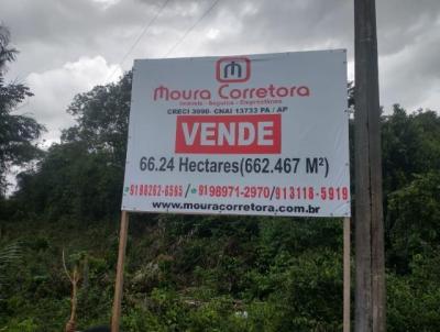 Terreno para Venda, em Vigia, bairro Alter do Cho