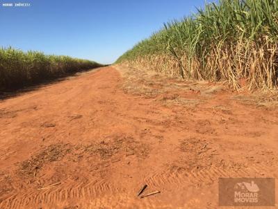 Fazenda para Venda, em Chapado do Cu, bairro Centro