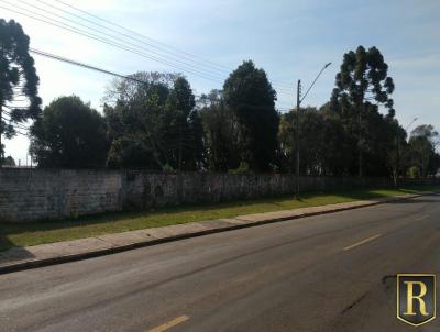 Terreno para Venda, em Guarapuava, bairro Trianon