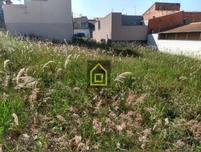 imagem-miniatura