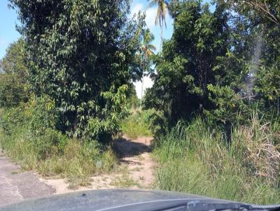 Stio / Chcara para Venda, em Pitimbu, bairro Camucim