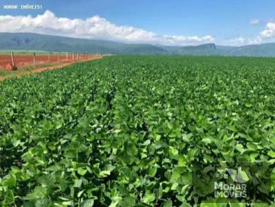 Fazenda para Venda, em Vila Bela da Santssima Trindade, bairro Centro