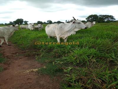 Fazenda para Venda, em Pocon, bairro Cangas