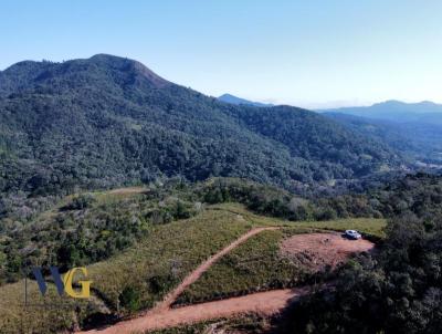 Chcara para Venda, em Campo Magro, bairro Conceio dos Correias