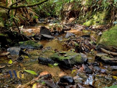 Terreno para Venda, em Campo Largo, bairro Colnia Balbino Cunha