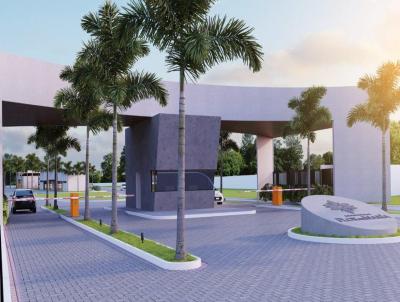 Lote para Venda, em Arapiraca, bairro Massaranduba