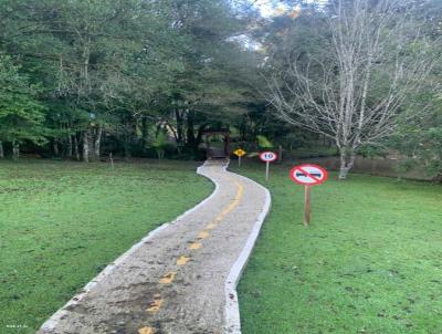 Stio para Venda, em Gramado, bairro Linha Araripe