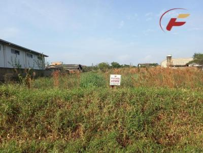 Terreno para Venda, em Nova Hartz, bairro Campo Vicente