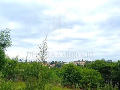 Terreno para Venda, em guas de So Pedro, bairro Iporanga