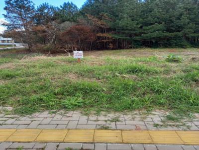 Terreno para Venda, em Araric, bairro Integrao