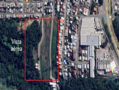 Terreno para Venda, em Bento Gonalves, bairro Conceio