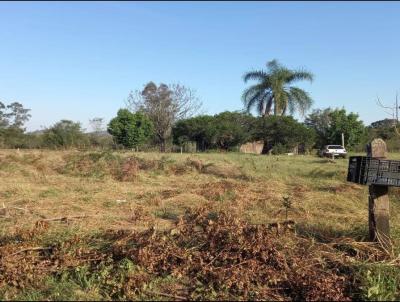 Stio para Venda, em Nova Hartz, bairro Campo Vicente