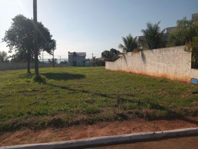 imagem-miniatura