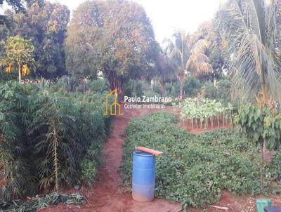 Terreno para Venda, em Martinpolis, bairro Vila Esccia