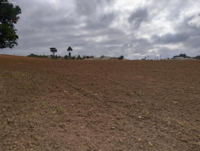 Terreno para Venda, em Contenda, bairro Centro