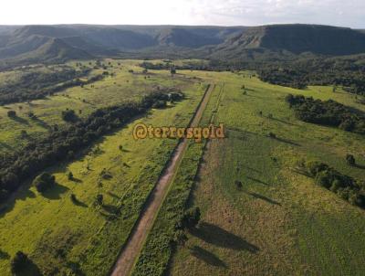 Fazenda para Venda, em Novo So Joaquim, bairro Zona rural, 10 banheiros, 7 sutes