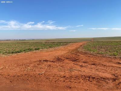 Fazenda para Venda, em Pereira Barreto, bairro Jardim Planalto