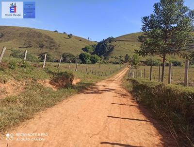 Fazenda para Venda, em Silveiras, bairro Bairro dos Macacos